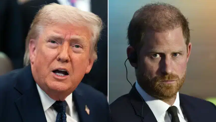 Trump: Prince Harry Doesn’t Speak for UK After Ukraine Plea