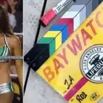 Nikki Bella Skips Baywatch Reboot Audition Over Swimsuit Concerns
