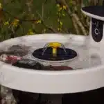 RSPB Warns on Bird Feeders: Smart Bird Bath for Safe Summer Viewing