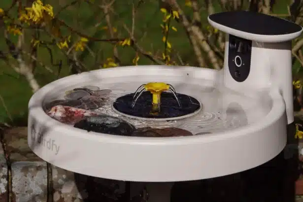 RSPB Warns on Bird Feeders: Smart Bird Bath for Safe Summer Viewing
