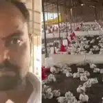 140 Chickens Die from Blasting Wedding Bass in India