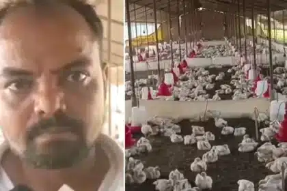 140 Chickens Die from Blasting Wedding Bass in India