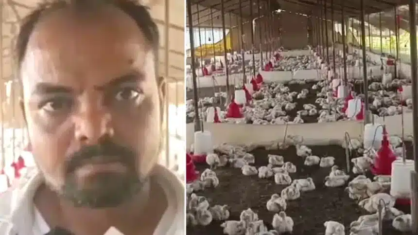 140 Chickens Die from Blasting Wedding Bass in India