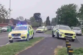 Teen Killed by Falling Tree in Stafford, Police Cordon Erected