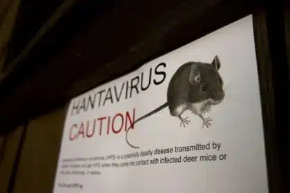 Hantavirus Kills 3 on Cruise Ship: Symptoms and Prevention Guide