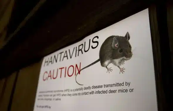 Hantavirus Kills 3 on Cruise Ship: Symptoms and Prevention Guide