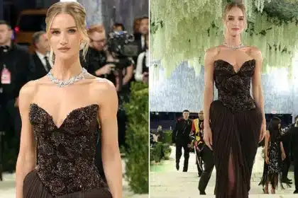 Rosie Huntington-Whiteley Stuns in Brown Burberry Gown at 2026 Met Gala