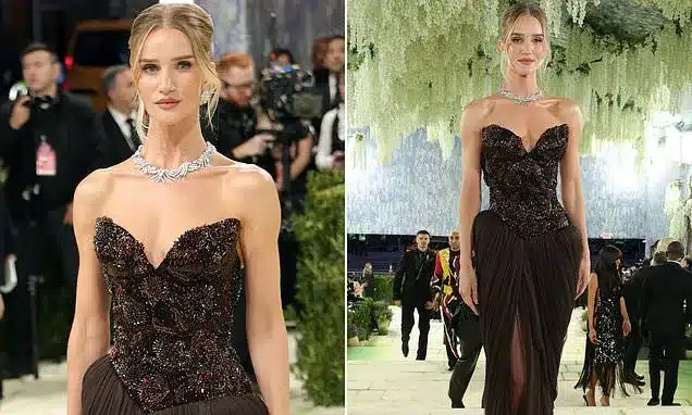 Rosie Huntington-Whiteley Stuns in Brown Burberry Gown at 2026 Met Gala