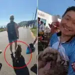Pit Bull in ‘Adopt Me’ Vest Kills Dog at Crowded Tacoma Marathon