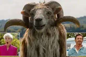 The Sheep Detectives Review: Talking Sheep Solve Murder Mystery