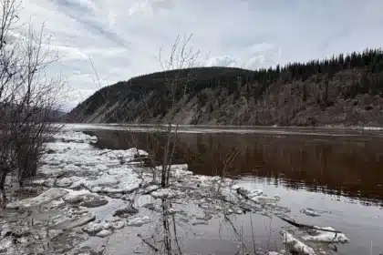 Yukon Flood Watches: Dawson City, Carmacks Rivers Rise Rapidly
