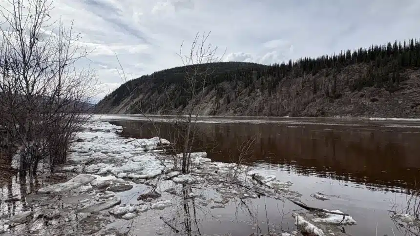 Yukon Flood Watches: Dawson City, Carmacks Rivers Rise Rapidly