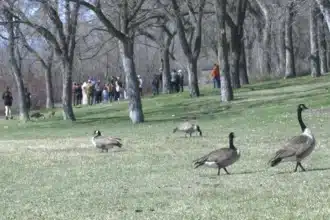 Bird Enthusiasts Celebrate World Migratory Bird Day at Saskatchewan Science Centre