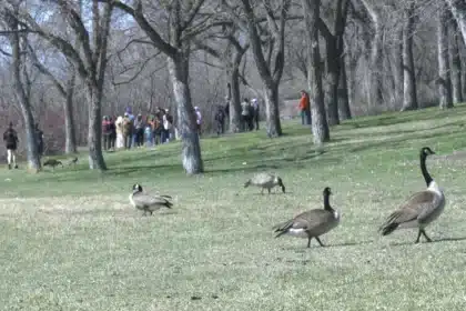 Bird Enthusiasts Celebrate World Migratory Bird Day at Saskatchewan Science Centre