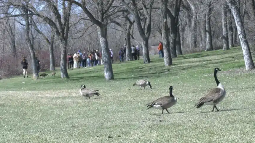 Bird Enthusiasts Celebrate World Migratory Bird Day at Saskatchewan Science Centre