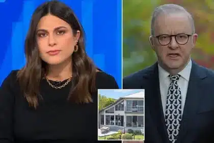 Abo Grills Albanese on Death Tax After Negative Gearing Shift