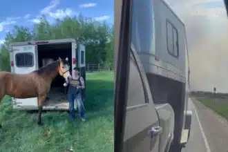 Saskatchewan Families Face Evacuation Alert Amidst Growing Wildfire