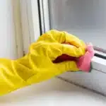 Combatting Household Mould: Prevention and Cleaning Strategies