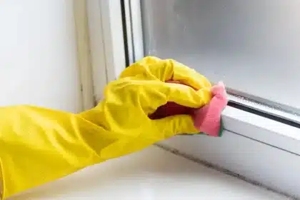 Combatting Household Mould: Prevention and Cleaning Strategies