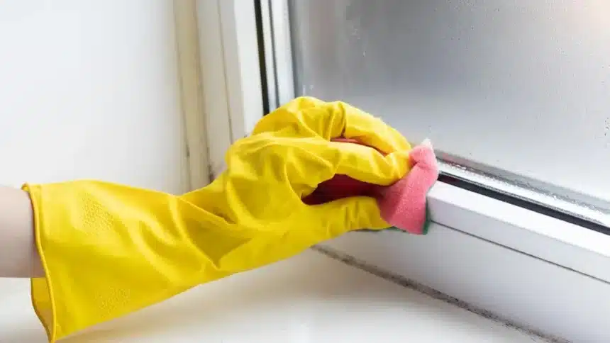 Combatting Household Mould: Prevention and Cleaning Strategies