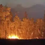 Saskatchewan Wildfire Evacuation Orders Lifted for Two First Nations