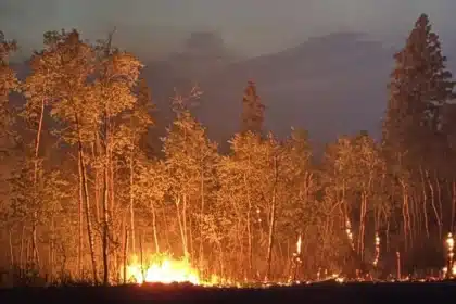 Saskatchewan Wildfire Evacuation Orders Lifted for Two First Nations