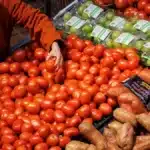 Canada’s Recession Call: Experts Urge Caution on Economic Downturn