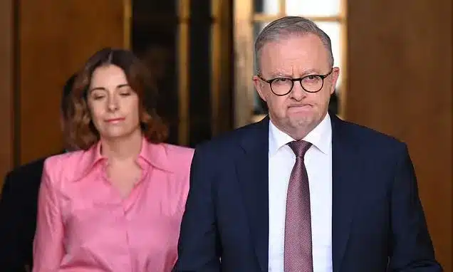 PM Albanese to Meet Apple CEO Over Child Safety Tech