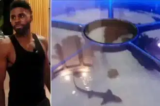 Jason Derulo Faces Backlash Over Shark and Ray Floor Aquarium