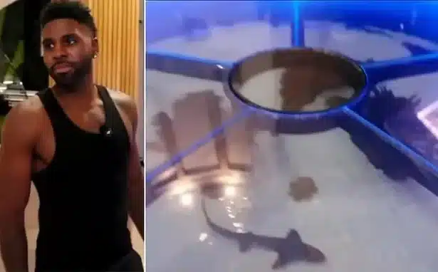 Jason Derulo Faces Backlash Over Shark and Ray Floor Aquarium