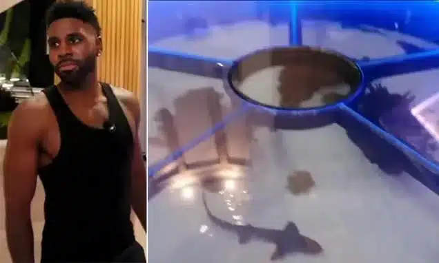 Jason Derulo Faces Backlash Over Shark and Ray Floor Aquarium Jason Derulo Faces Backlash Over Shark and Ray Floor Aquarium