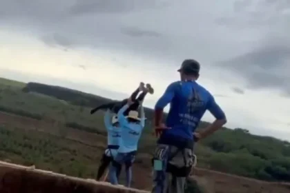 Bungee Jumper Found Alive After 130ft Fall, Nurse Recounts