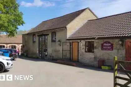 Man Arrested After Young Boy Critically Injured at Zoo