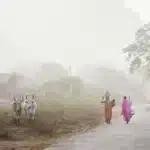 Brutal Gang Rape: Woman Suffers Horrific Attack in India