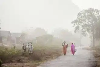 Brutal Gang Rape: Woman Suffers Horrific Attack in India