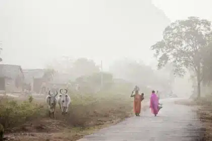 Brutal Gang Rape: Woman Suffers Horrific Attack in India