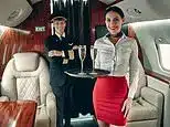 The True Cost of Private Jet Ownership Revealed by Experts The True Cost of Private Jet Ownership Revealed by Experts