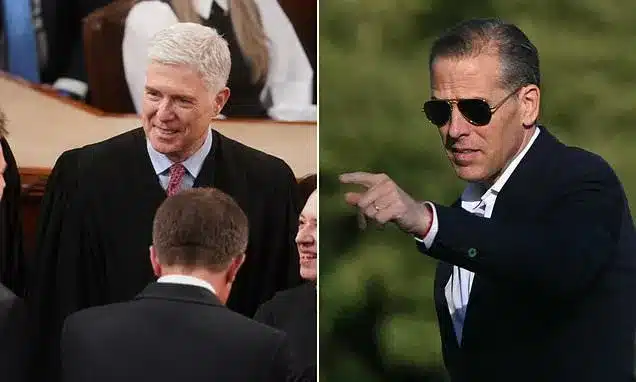 Supreme Court Marijuana-Gun Ruling Impacts Hunter Biden Case