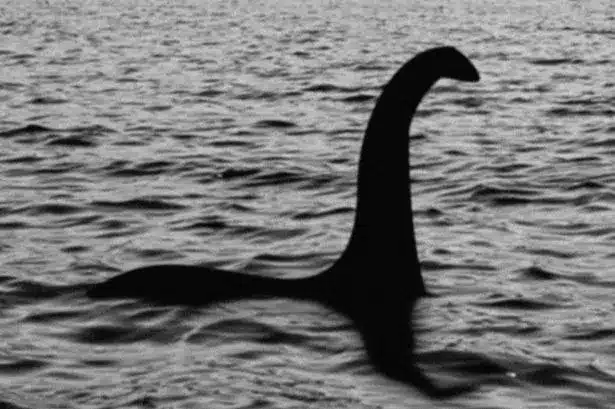Loch Ness Monster Sightings: 2026’s Most Intriguing Encounters Loch Ness Monster Sightings: 2026’s Most Intriguing Encounters