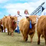Royal Highland Show Sees 55,000 Flock to Sunny Saturday
