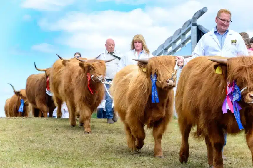 Royal Highland Show Sees 55,000 Flock to Sunny Saturday Royal Highland Show Sees 55,000 Flock to Sunny Saturday