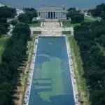 Reflecting Pool Renovation Woes: Arrests Made Amid Vandalism Claims