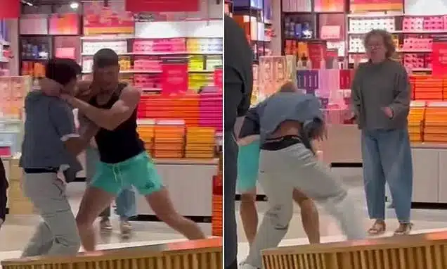 Brave Shopper Halts Violent Brawl Outside Sydney Candle Shop Brave Shopper Halts Violent Brawl Outside Sydney Candle Shop