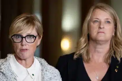 Steggall Courts Fallen Independents for New Party