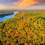 Rayonier: Timber REIT Poised for Growth with 5% Yield