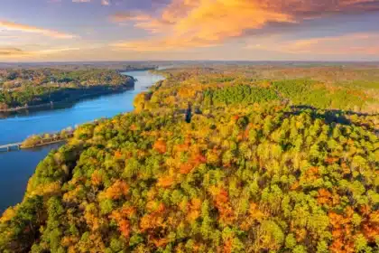Rayonier: Timber REIT Poised for Growth with 5% Yield