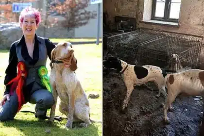 Crufts Winner Banned from Owning Dogs for 10 Years After Neglect Case