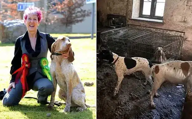 Crufts Winner Banned from Owning Dogs for 10 Years After Neglect Case