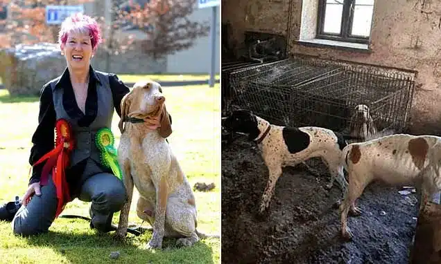 Crufts Winner Banned from Owning Dogs for 10 Years After Neglect Case