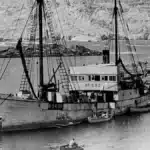 Historic Polar Exploration Shipwrecks Digitally Mapped